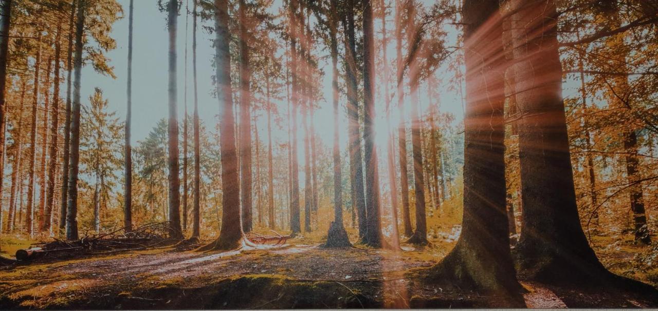 Landpension Wendfeld Sanitz エクステリア 写真